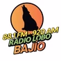 Radio Lobo Bajio - XHRE logo