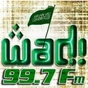 WADI FM logo