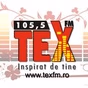 Radio Tex Romania Hits logo