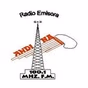 Radio Andina 100.1 logo