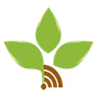 راديو الحياة الجديدة logo