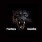 Rádio Pantera Gaúcha logo