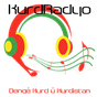 Kurdradyo logo