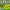 Stereo Ixcan 90.3 logo