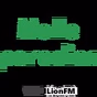 Malleparadies logo