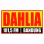 Radio Dahlia logo