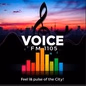 Voice FM 1105 logo