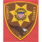 Jackson and Carroll County Public Safety logo