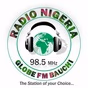 Globe FM Bauchi logo
