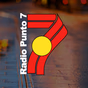 Radio Punto 7 logo