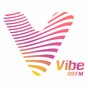 Vibe 89 FM logo