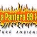 LA PANTERA 99.1 FM logo