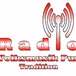 Radio Pur - Radio Volksmusikpur-Tradition logo