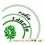 Radio Canelo 1490 logo