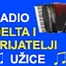 Radio Delta 31 logo
