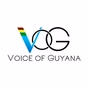 Voice of Guyana (VOG) 102.5 FM logo