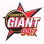 94.7 The Country Giant - WGSQ logo