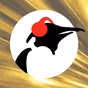 Pinguin Radio - Pinguin Classics logo
