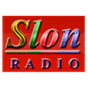 Radio Slon FM logo