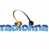 Radiolina logo