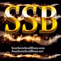 Realmuzic.net - Southern Soul Blues logo