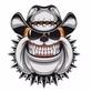 Region Radio - Bulldog Country logo