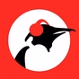 Pinguin Radio - Penguin Indie logo