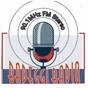 Badeggi Radio logo