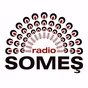Radio SOMEȘ logo