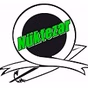 Radyo Nüktezar logo