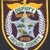 Taylor County Public Safety logo