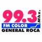 FM Color logo