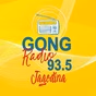GONG radio 93,5 FM logo
