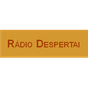 Radio Despertai logo