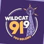 Wildcat 91.9 - KSDB-FM logo