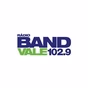 Band Vale FM logo