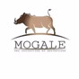Mogale FM logo