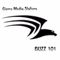 Gizmo - Buzzin Country 101 logo