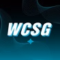 91.3 WSCG - WCXK logo