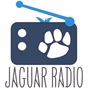 Jaguar Radio logo