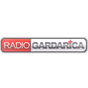 Радио Гардарика logo