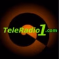 TeleRadio1 logo