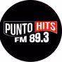 Punto Hits FM 89.3 logo