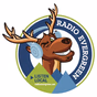 Radio Evergreen logo