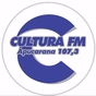 Rádio Cultura Apucarana logo
