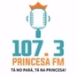 Radio Princesa FM logo