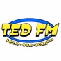 Ted FM - K246AM logo