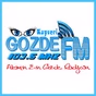 Kayseri Gözde Fm logo