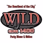 104.1 FM WJLD - W231DE logo