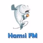 Hamsi FM logo